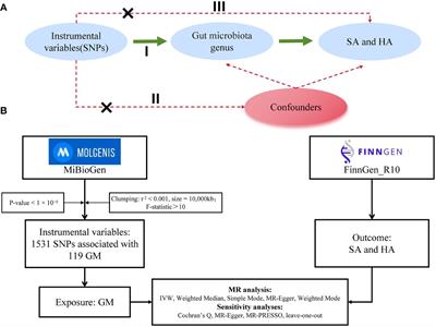Assessing causal relationships between gut microbiota and abortion: evidence from two sample Mendelian randomization analysis